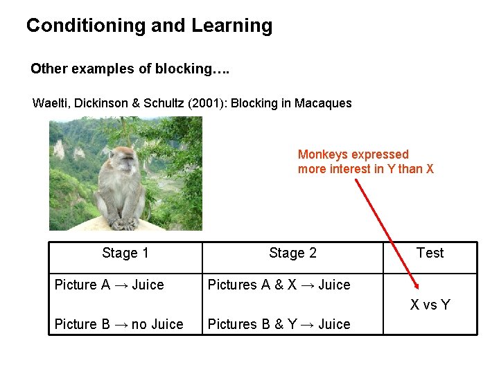 Conditioning and Learning Other examples of blocking…. Waelti, Dickinson & Schultz (2001): Blocking in