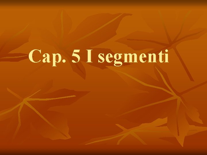 Cap. 5 I segmenti 