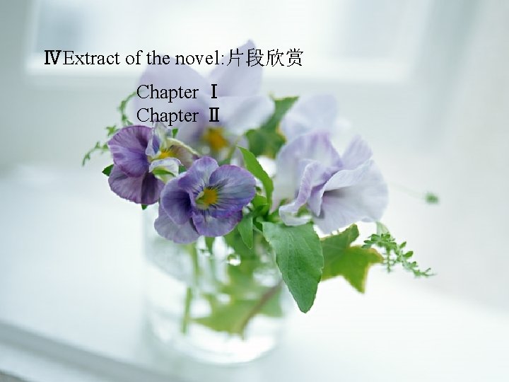 ⅣExtract of the novel: 片段欣赏 Chapter Ⅰ Chapter Ⅱ 大学英语精品课程 