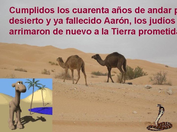 Cumplidos los cuarenta años de andar p desierto y ya fallecido Aarón, los judíos