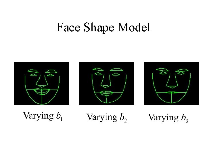 Face Shape Model 