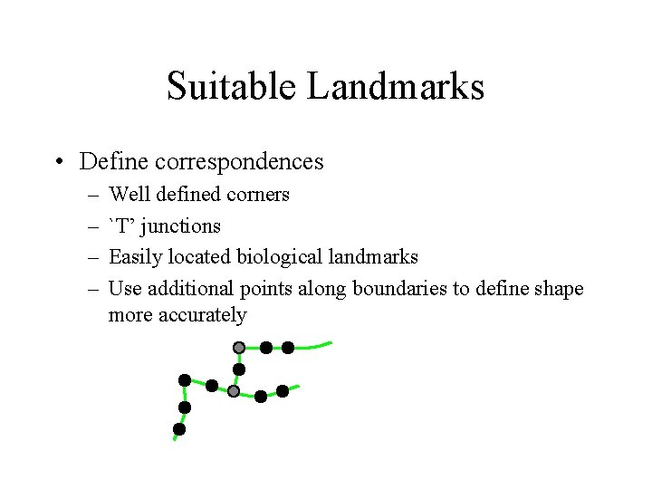 Suitable Landmarks • Define correspondences – – Well defined corners `T’ junctions Easily located