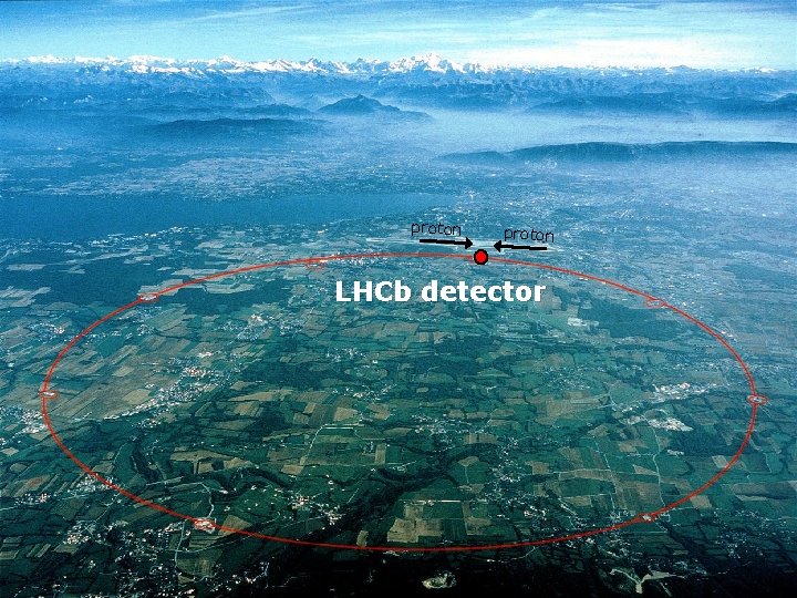 proton LHCb detector 