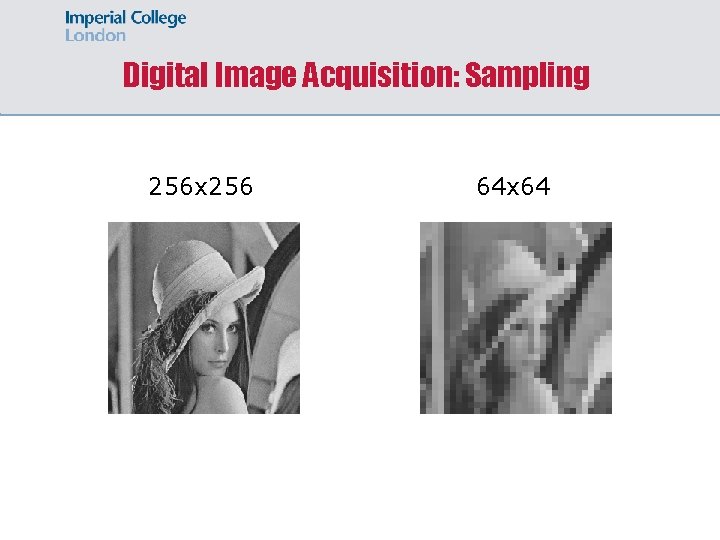 Digital Image Acquisition: Sampling 256 x 256 64 x 64 