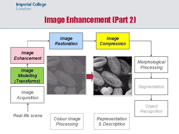 Image Enhancement (Part 2) Image Restoration Image Compression Image Enhancement Morphological Processing Image Modelling