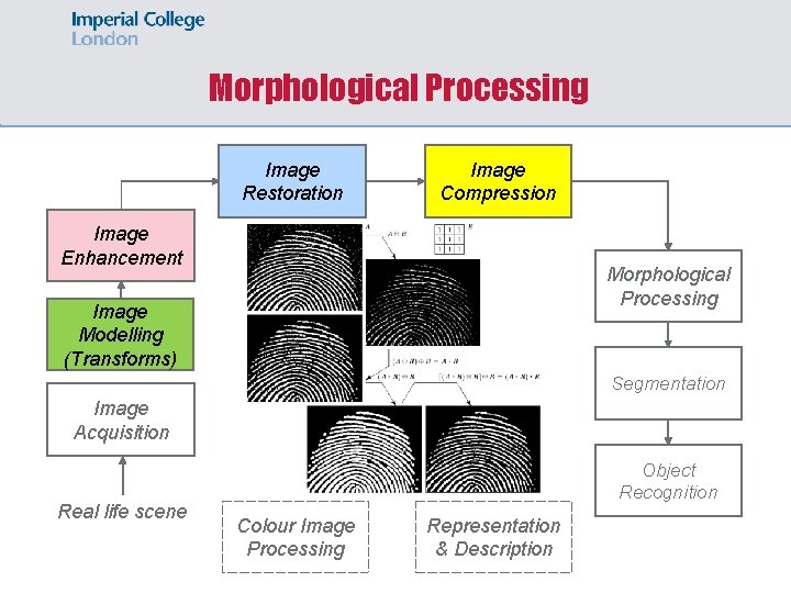 Morphological Processing Image Restoration Image Compression Image Enhancement Morphological Processing Image Modelling (Transforms) Segmentation