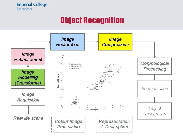 Object Recognition Image Restoration Image Compression Image Enhancement Morphological Processing Image Modelling (Transforms) Segmentation