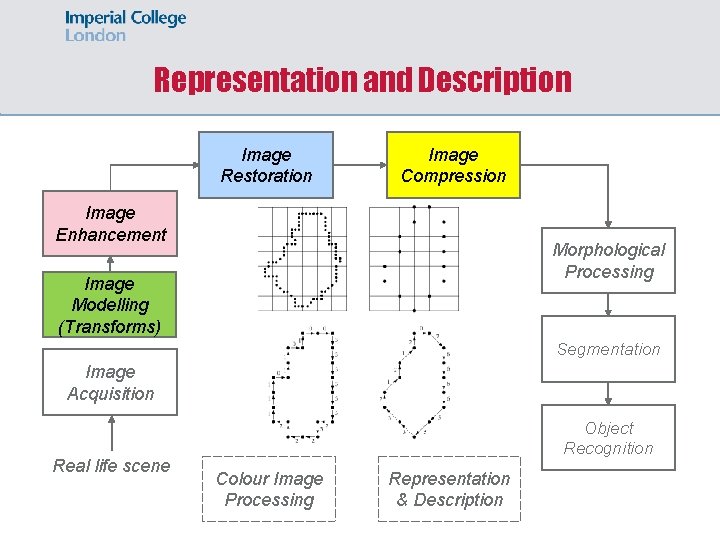 Representation and Description Image Restoration Image Compression Image Enhancement Morphological Processing Image Modelling (Transforms)