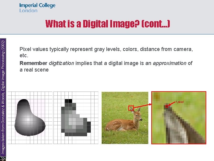 Images taken from Gonzalez & Woods, Digital Image Processing (2002) What is a Digital