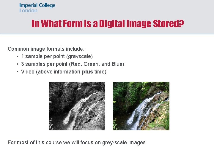 In What Form is a Digital Image Stored? Common image formats include: • 1