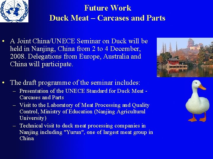 Future Work Duck Meat – Carcases and Parts • A Joint China/UNECE Seminar on