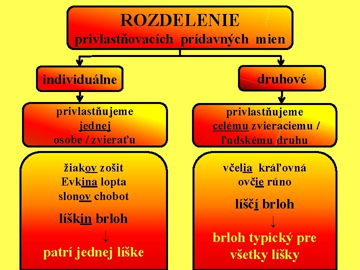 ROZDELENIE privlastňovacích prídavných mien individuálne druhové privlastňujeme jednej osobe / zvieraťu privlastňujeme celému zvieraciemu