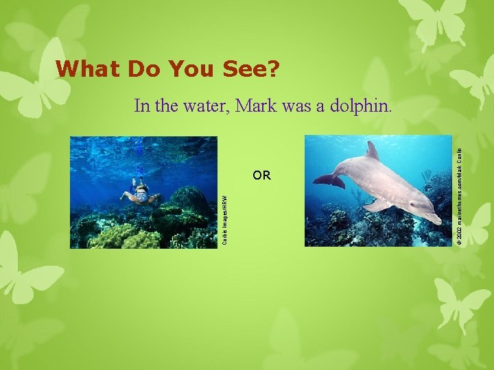 OR © 2002 marinethemes. com/Mark Conlin Corbis Images/HRW What Do You See? In the