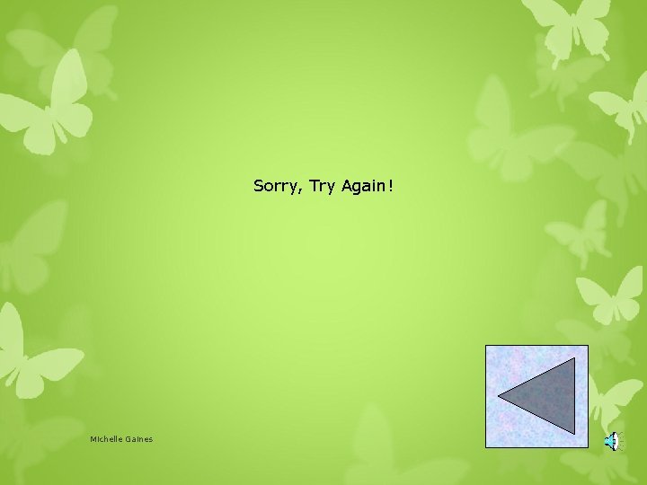 Sorry, Try Again! Michelle Gaines 