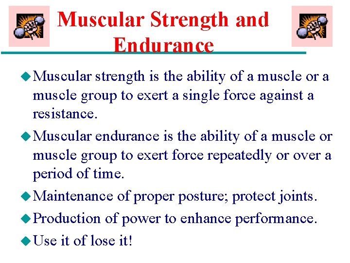 Muscular Strength and Endurance u Muscular strength is the ability of a muscle or