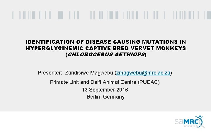IDENTIFICATION OF DISEASE CAUSING MUTATIONS IN HYPERGLYCINEMIC CAPTIVE BRED VERVET MONKEYS (CHLOROCEBUS AETHIOPS) Presenter: