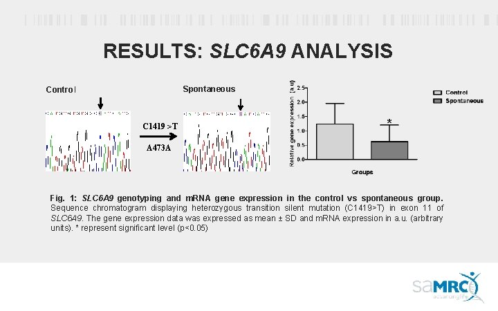 RESULTS: SLC 6 A 9 ANALYSIS Spontaneous Control C 1419 >T * A 473