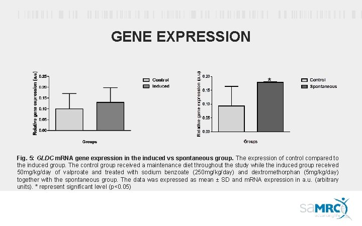 GENE EXPRESSION * Fig. 5: GLDC m. RNA gene expression in the induced vs