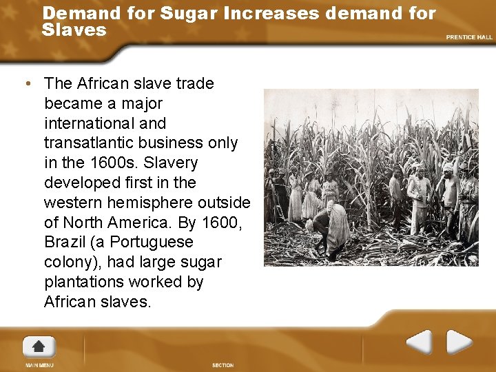 Demand for Sugar Increases demand for Slaves • The African slave trade became a