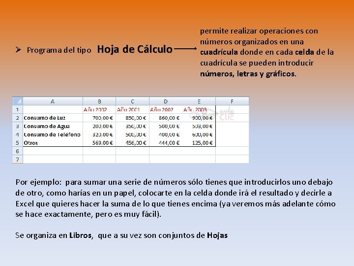 Ø Programa del tipo Hoja de Cálculo permite realizar operaciones con números organizados en