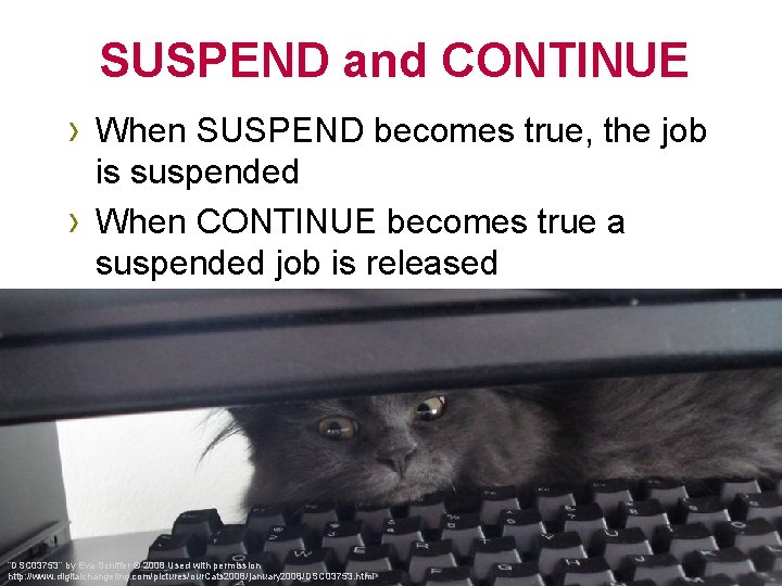 SUSPEND and CONTINUE › When SUSPEND becomes true, the job › is suspended When