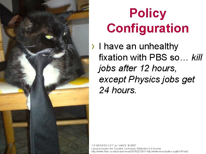 Policy Configuration › I have an unhealthy fixation with PBS so… kill jobs after