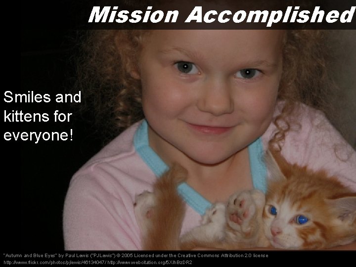 Mission Accomplished Smiles and kittens for everyone! “Autumn and Blue Eyes” by Paul Lewis