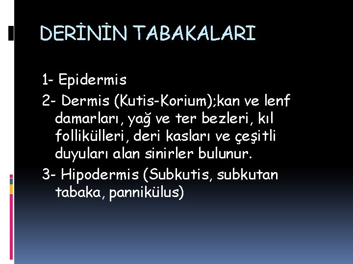 DERİNİN TABAKALARI 1 - Epidermis 2 - Dermis (Kutis-Korium); kan ve lenf damarları, yağ DERİNİN TABAKALARI 1 - Epidermis 2 - Dermis (Kutis-Korium); kan ve lenf damarları, yağ