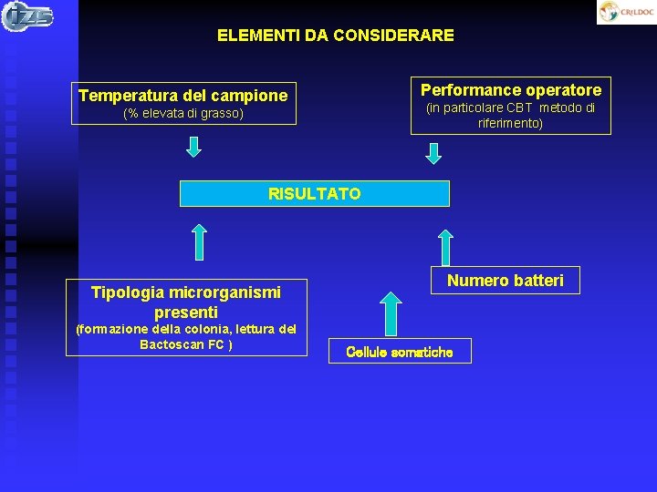 ELEMENTI DA CONSIDERARE Performance operatore Temperatura del campione (in particolare CBT metodo di riferimento)