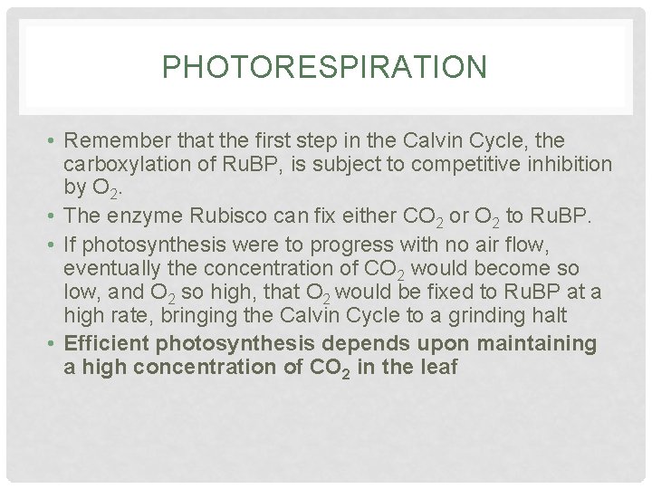 PHOTORESPIRATION • Remember that the first step in the Calvin Cycle, the carboxylation of