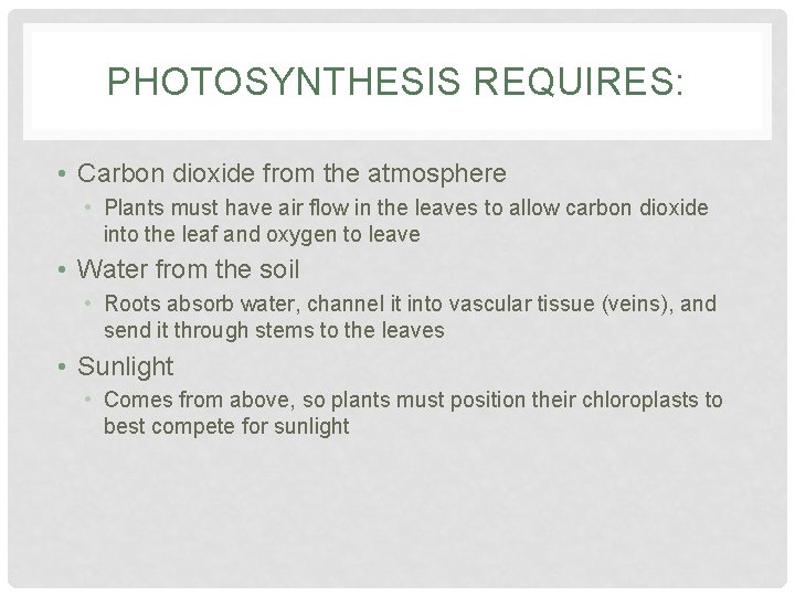 PHOTOSYNTHESIS REQUIRES: • Carbon dioxide from the atmosphere • Plants must have air flow