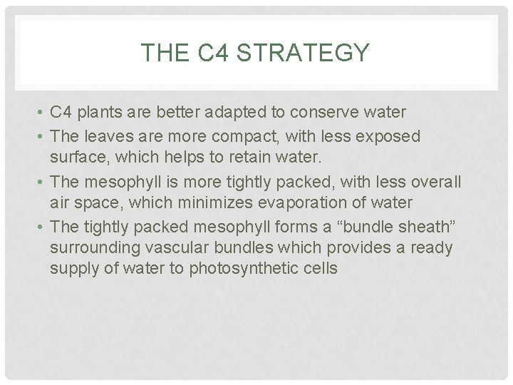 THE C 4 STRATEGY • C 4 plants are better adapted to conserve water THE C 4 STRATEGY • C 4 plants are better adapted to conserve water