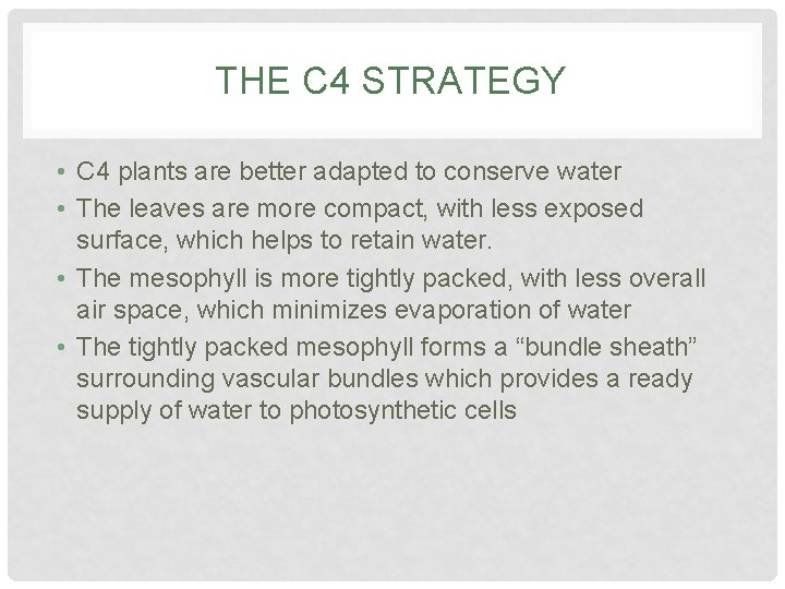 THE C 4 STRATEGY • C 4 plants are better adapted to conserve water