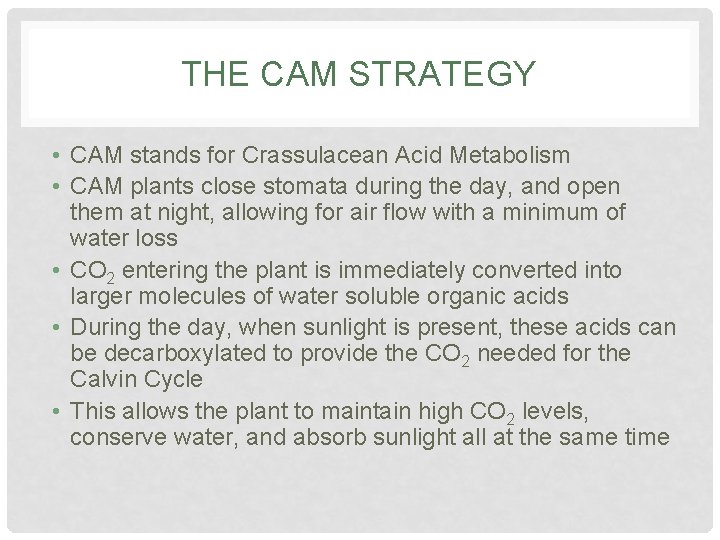 THE CAM STRATEGY • CAM stands for Crassulacean Acid Metabolism • CAM plants close THE CAM STRATEGY • CAM stands for Crassulacean Acid Metabolism • CAM plants close