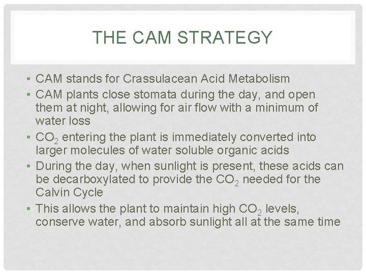 THE CAM STRATEGY • CAM stands for Crassulacean Acid Metabolism • CAM plants close