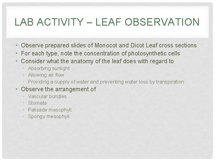 LAB ACTIVITY – LEAF OBSERVATION • Observe prepared slides of Monocot and Dicot Leaf