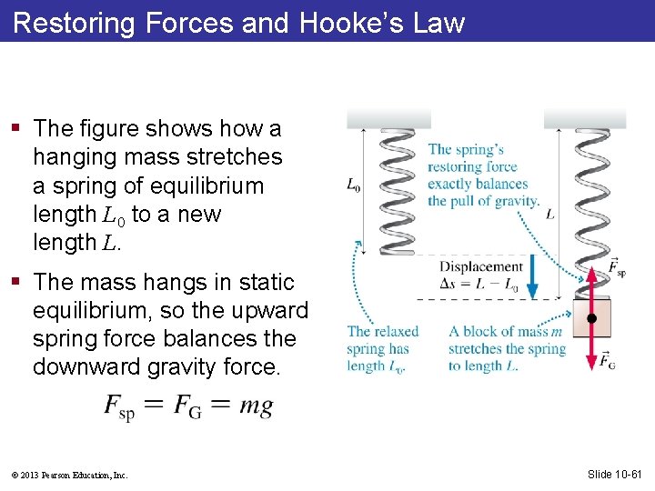 Restoring Forces and Hooke’s Law § The figure shows how a hanging mass stretches