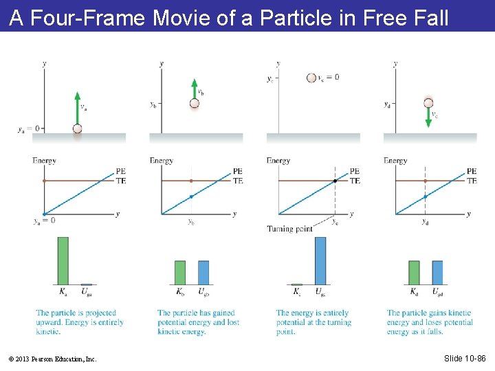 A Four-Frame Movie of a Particle in Free Fall © 2013 Pearson Education, Inc.