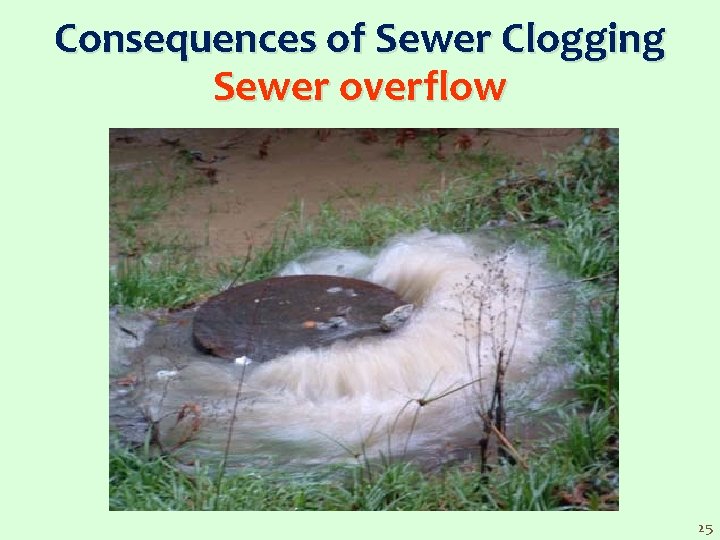 Consequences of Sewer Clogging Sewer overflow 25 