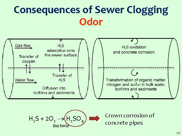 Consequences of Sewer Clogging Odor H 2 S + 2 O 2 H 2