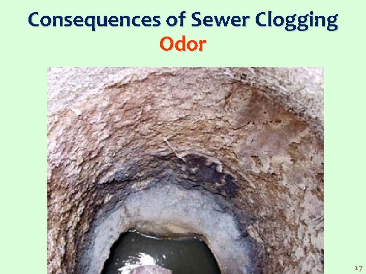 Consequences of Sewer Clogging Odor 27 