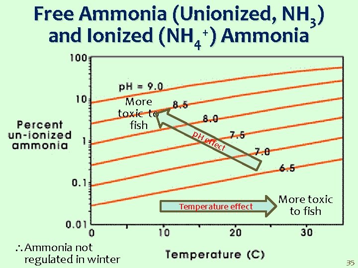 Free Ammonia (Unionized, NH 3) and Ionized (NH 4+) Ammonia More toxic to fish