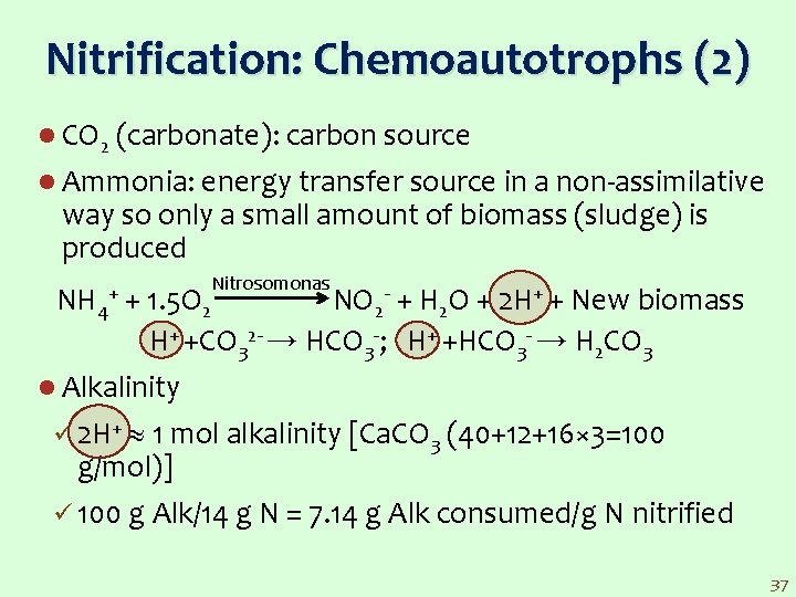 Nitrification: Chemoautotrophs (2) l CO 2 (carbonate): carbon source l Ammonia: energy transfer source