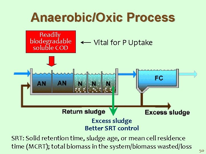 Anaerobic/Oxic Process Readily biodegradable soluble COD Vital for P Uptake Excess sludge Better SRT