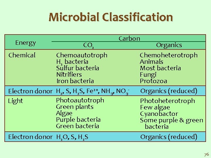 Microbial Classification Energy Carbon CO 2 Chemical Chemoautotroph H 2 bacteria Sulfur bacteria Nitrifiers