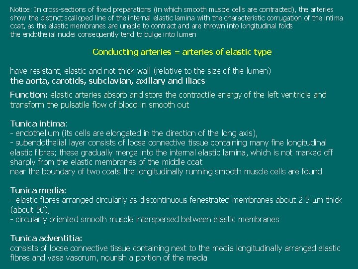 Notice: In cross-sections of fixed preparations (in which smooth muscle cells are contracted), the