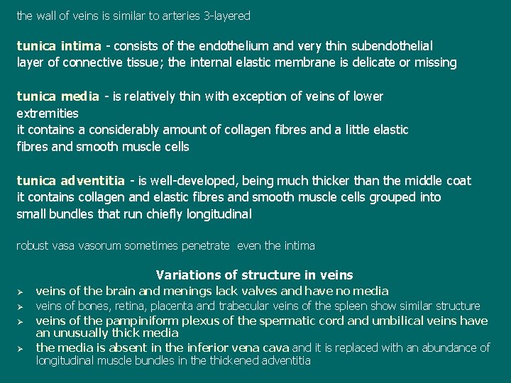 the wall of veins is similar to arteries 3 -layered tunica intima - consists