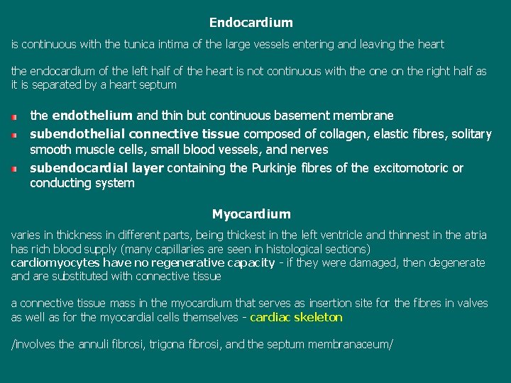 Endocardium is continuous with the tunica intima of the large vessels entering and leaving