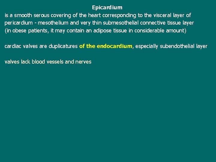 Epicardium is a smooth serous covering of the heart corresponding to the visceral layer