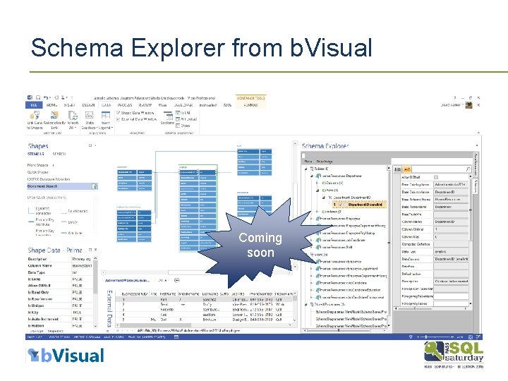 Schema Explorer from b. Visual Coming soon 